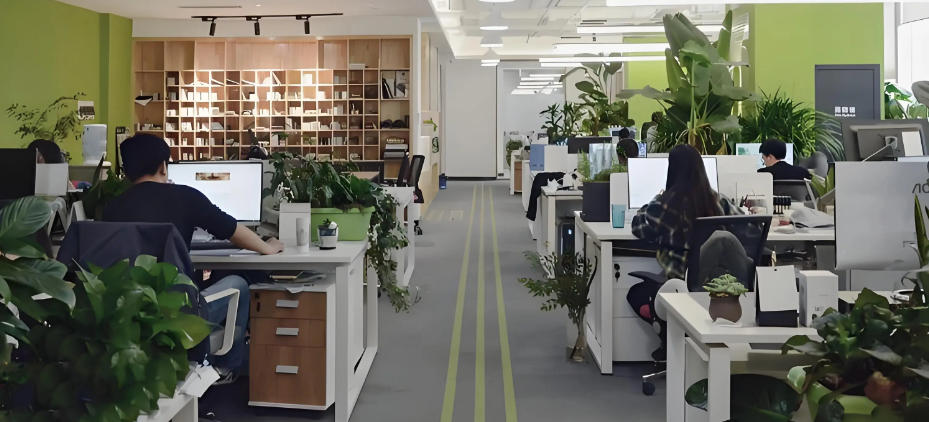 厦门东南电脑培训有限公司轮播图5